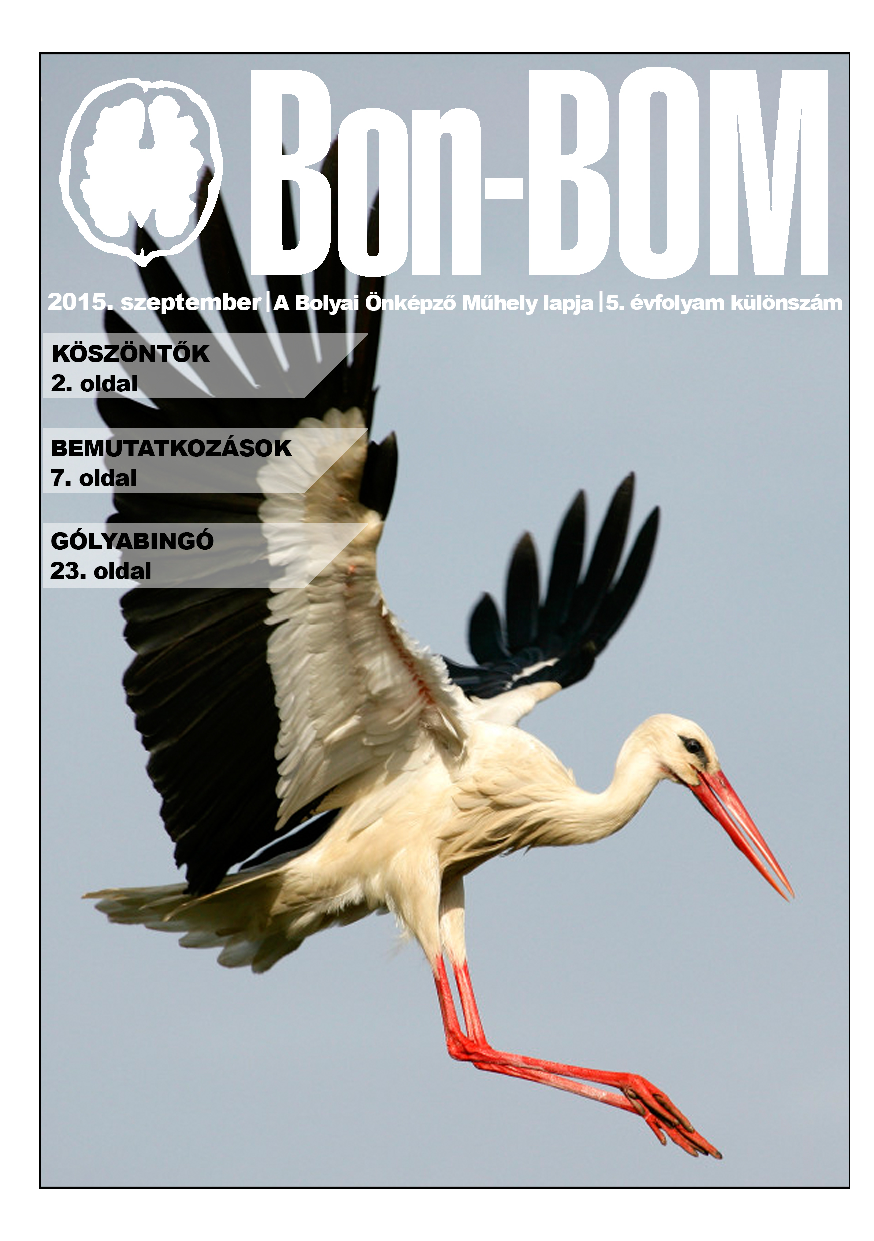 borito_golyatabor